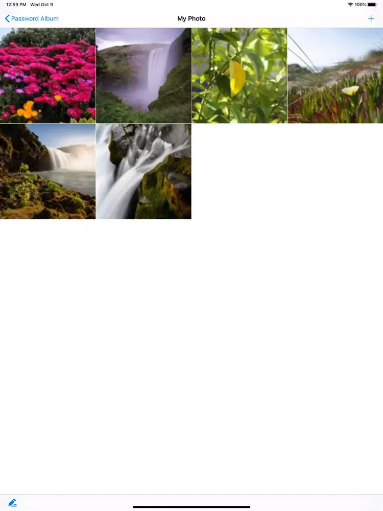 Password Album & Secret Album iPad Screenshots