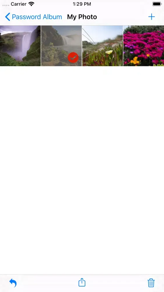 Password Album & Secret Album Screenshots