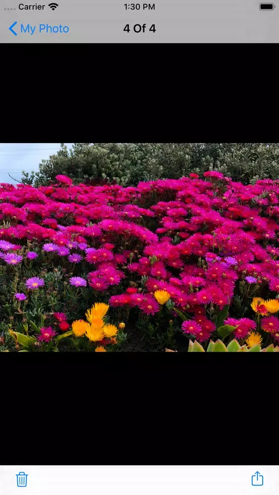 Password Album & Secret Album Screenshots