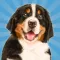 Dog Simulator Puppy Pet Hotel