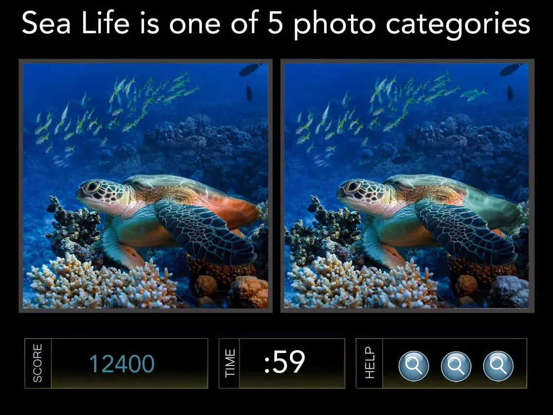 Spot the Difference Image Hunt Game - Gold Edition iPad  Ekran Görüntüleri
