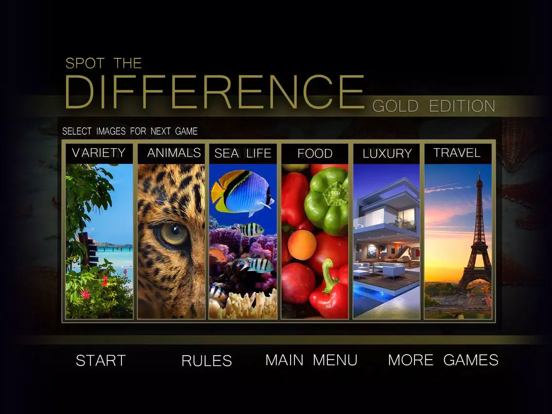 Spot the Difference Image Hunt Game - Gold Edition iPad  Ekran Görüntüleri