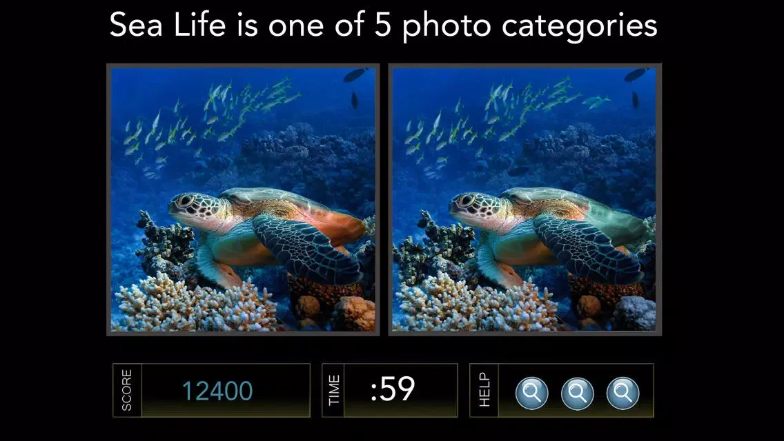Spot the Difference Image Hunt Game - Gold Edition Ekran Görüntüleri