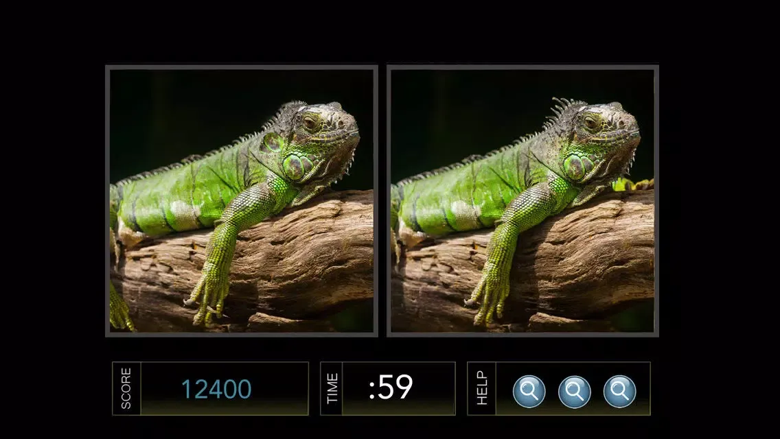 Spot the Difference Image Hunt Game - Gold Edition Ekran Görüntüleri