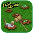 Bash Bernie Bash Bernie