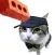 Dog & Cat Tennis