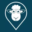 Flock - Never miss a thing