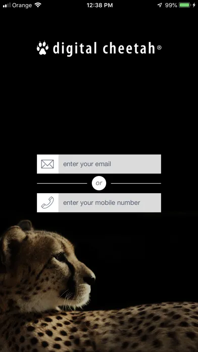 Cheetah应用截图
