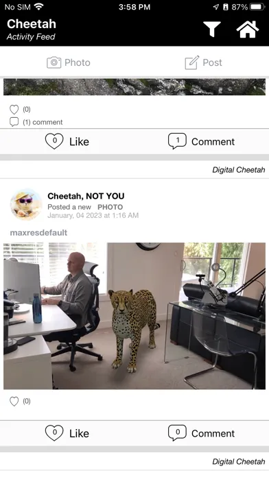 Cheetah应用截图