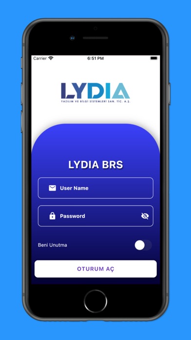 Скриншоты Lydia BRS