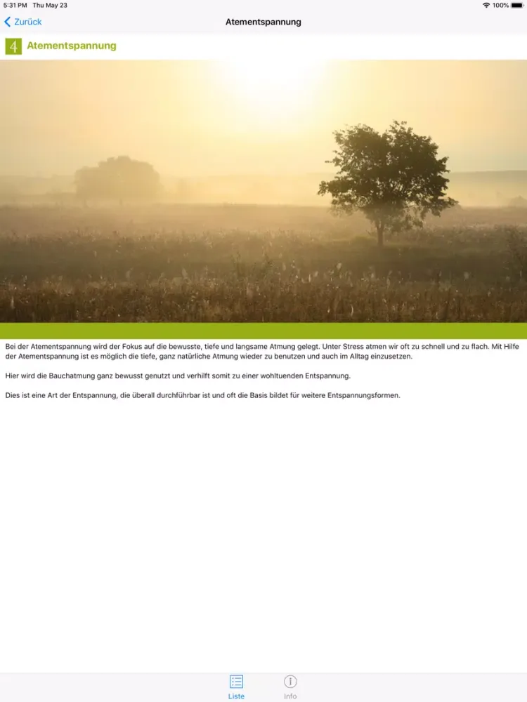 تصاویر Alltagsentspannung 4 iPad 