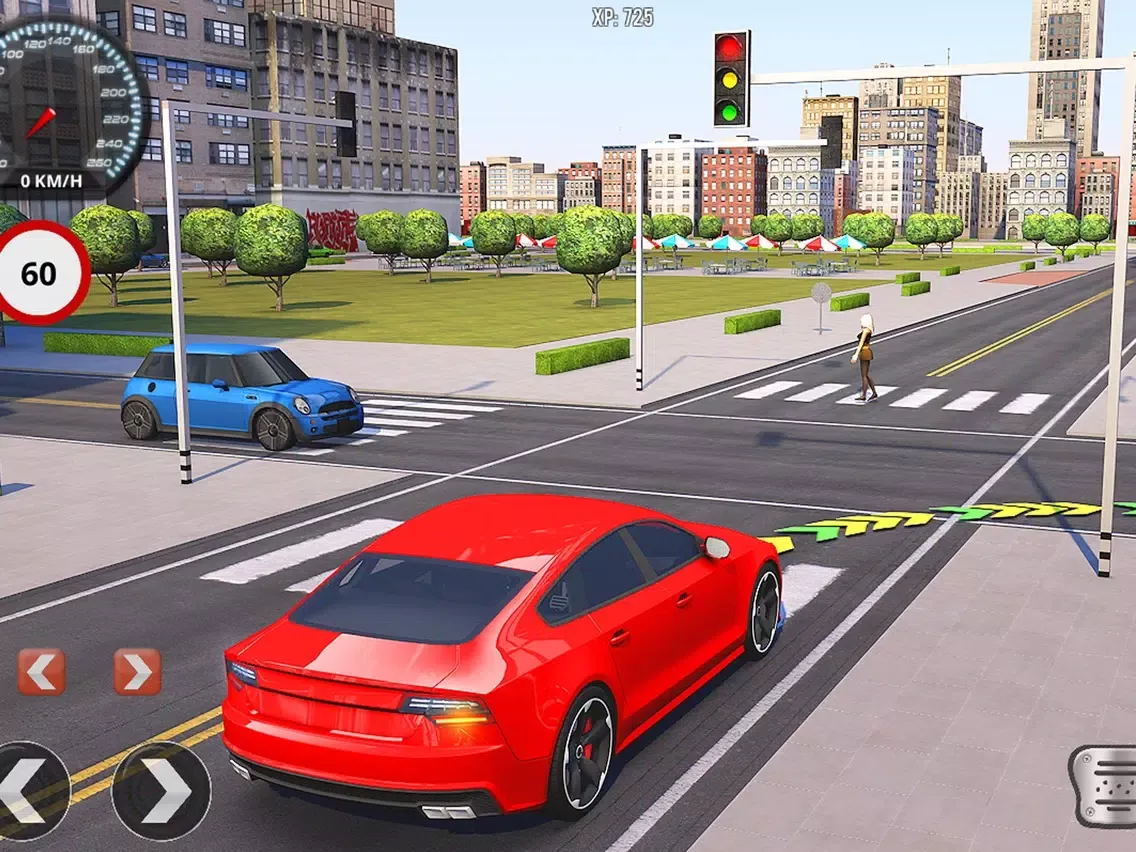 Driving School Fever iPad  سکرین شاٹس
