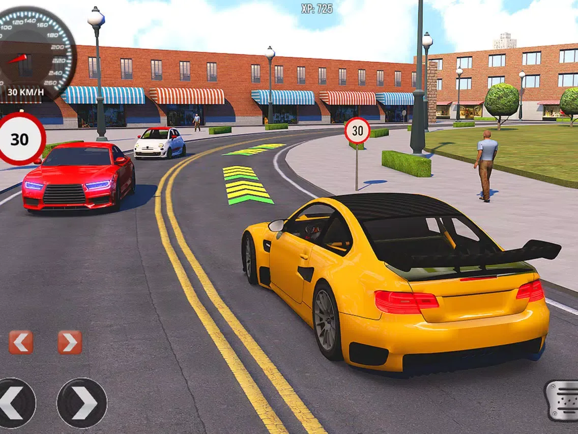 Driving School Fever iPad  سکرین شاٹس