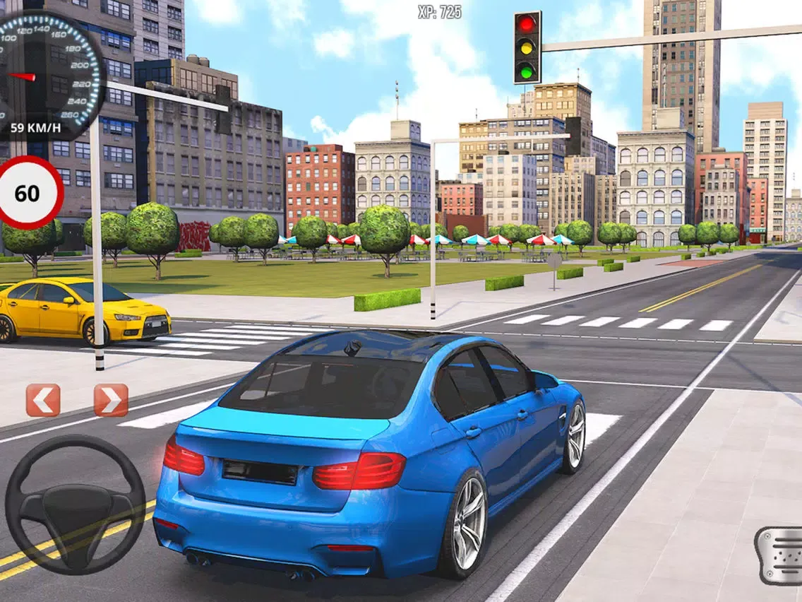 Driving School Fever iPad  سکرین شاٹس