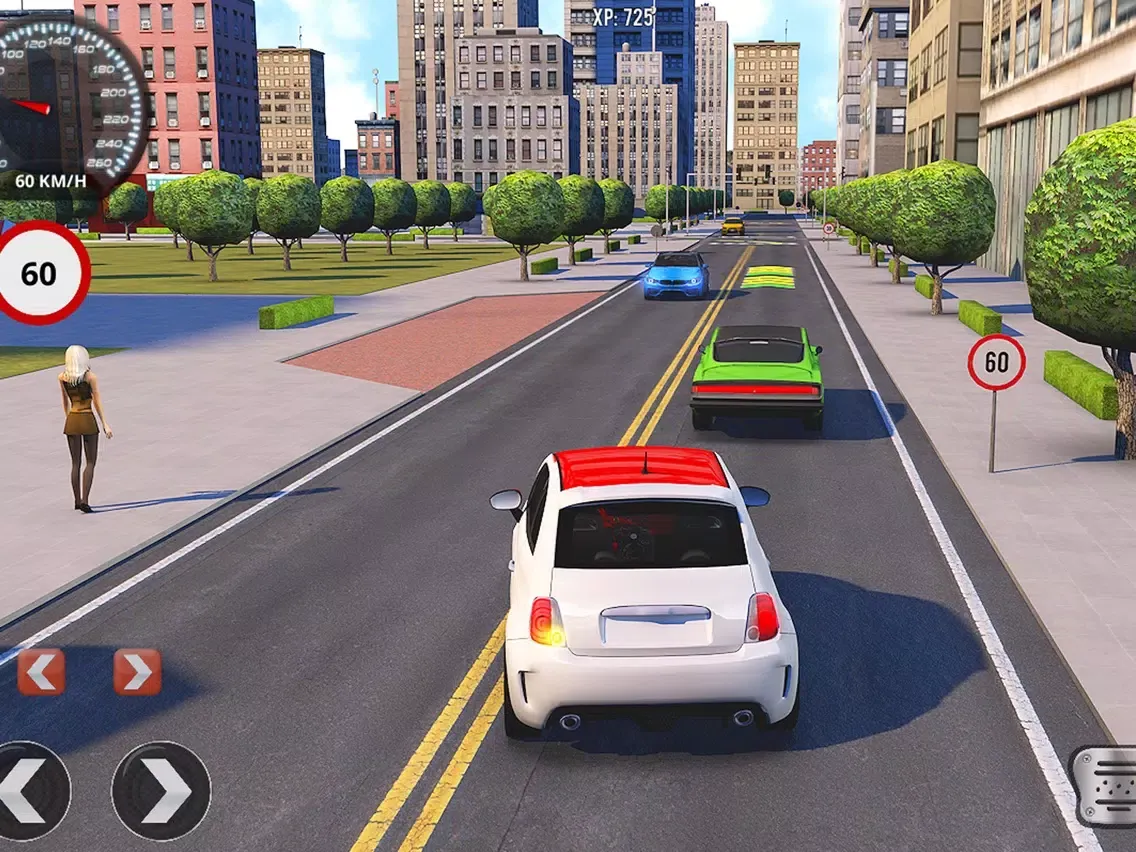 Driving School Fever iPad  سکرین شاٹس