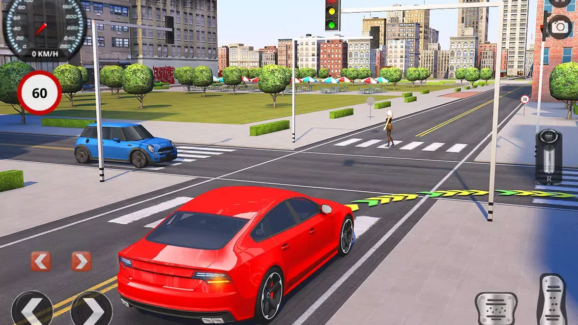 Driving School Fever سکرین شاٹس