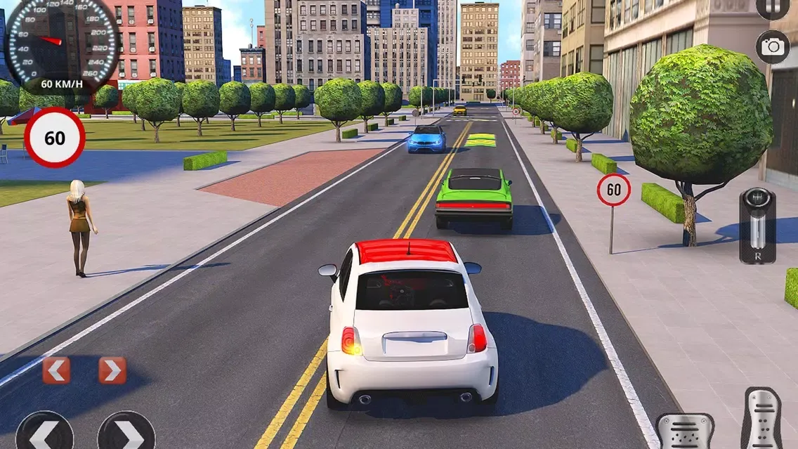 Driving School Fever سکرین شاٹس