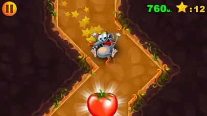 تصاویر Cheesy Madness