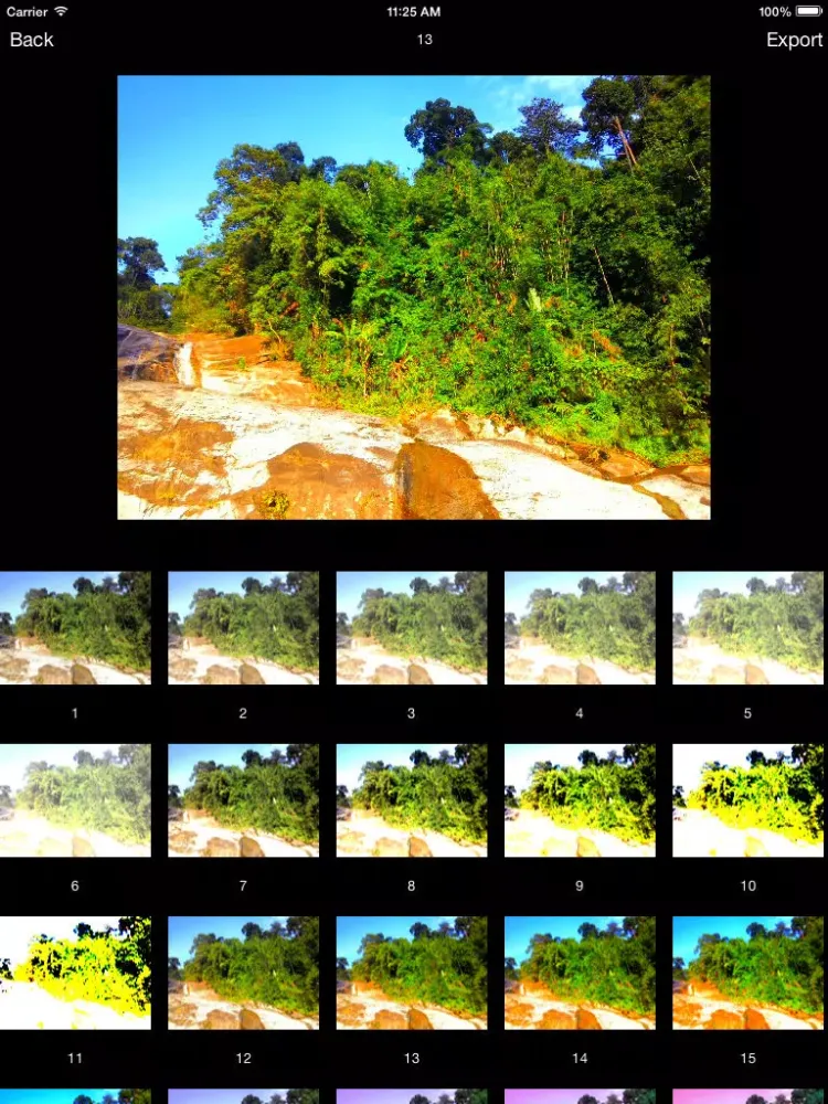 100 Colors Filter iPad  स्क्रीनशॉट