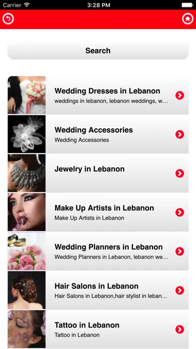Zrzuty ekranu LibanMall All about Lebanon