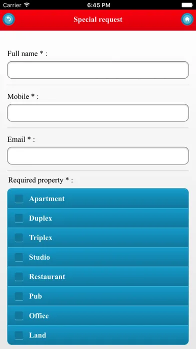 Tangkapan layar Realty USA