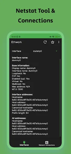 Capturas de pantalla de Ethwork: Netstat GUI