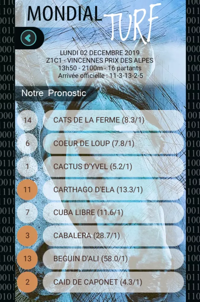 Capturas de tela do Mondial Turf - Jouez avec Zetu