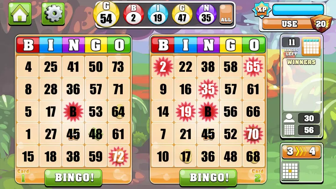 Скриншоты Bingo Casino!!™