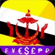 Fast Bruneian Dollar converter