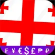 Fast Georgian Lari converter