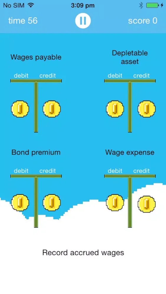 Debits and Credits Premium Ekran Görüntüleri