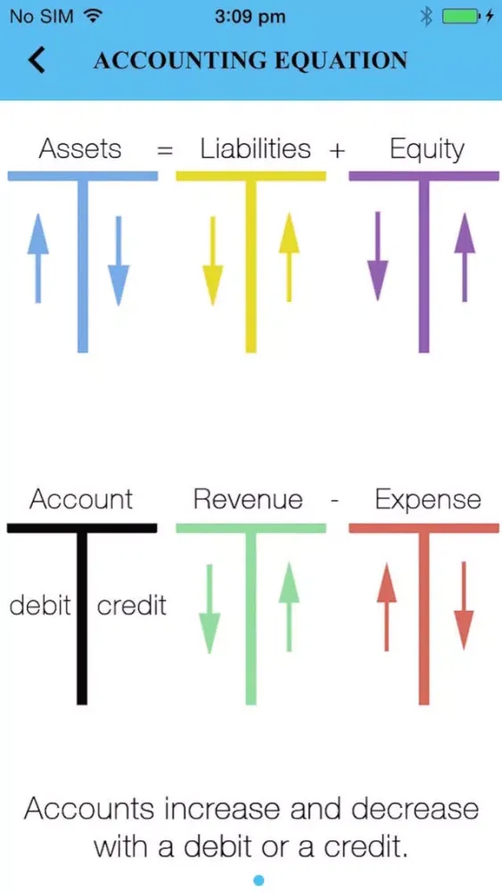 Debits and Credits Premium Ekran Görüntüleri