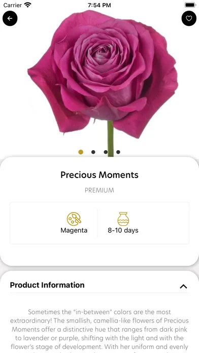 Flowering Special Moments应用截图