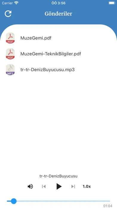 Zrzuty ekranu GEODI-QR