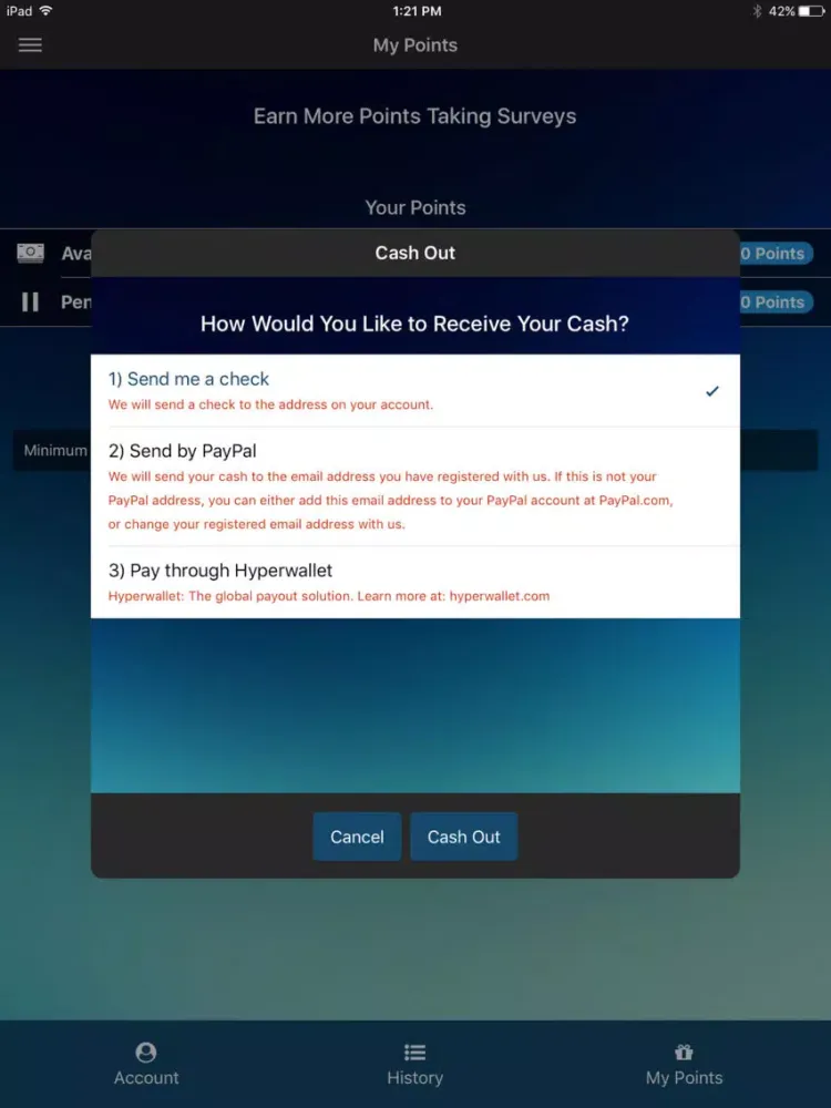 تصاویر American Consumer Opinion iPad 