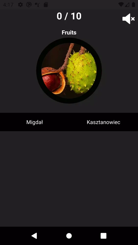 Polish Vocabulary 스크린샷