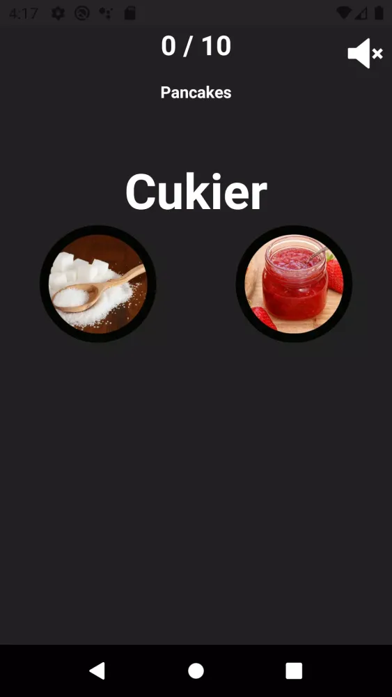 Polish Vocabulary 스크린샷
