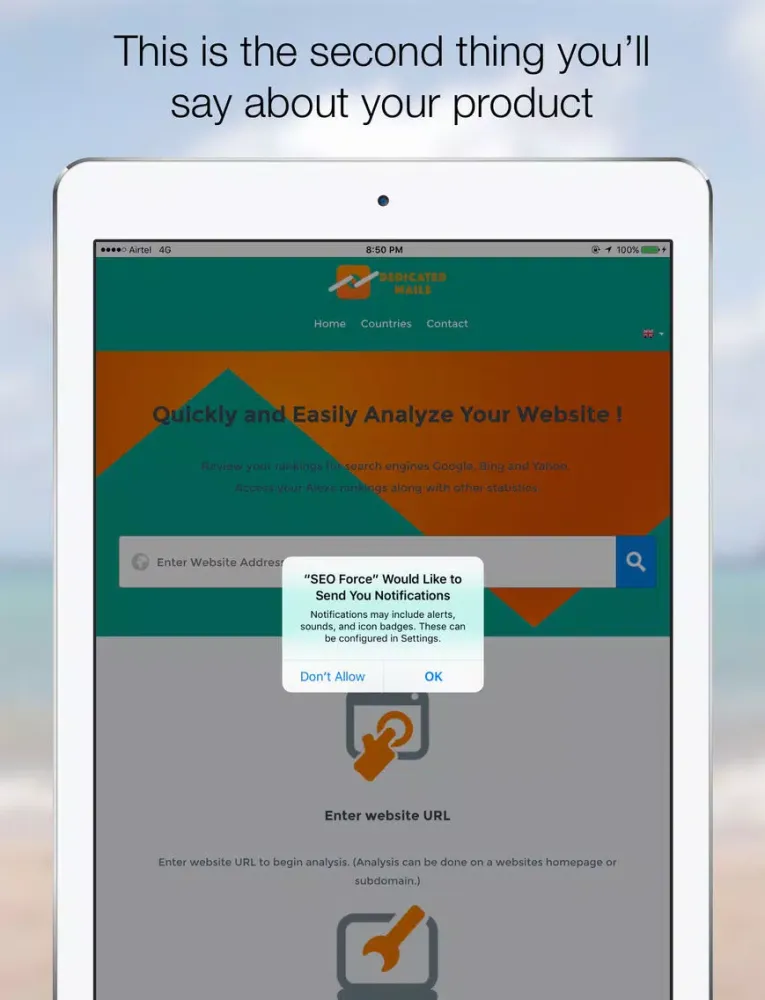 Zrzuty ekranu SEO Force iPad 