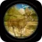 Forest Wild Sniper Hunting