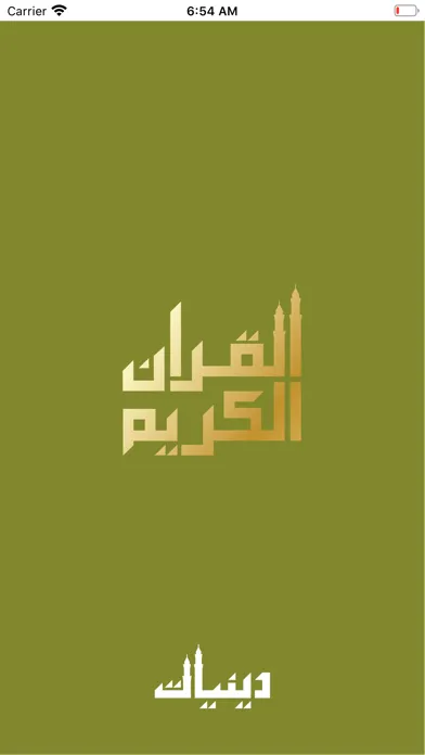Quraan-E-Karim (15 Lines) 스크린샷