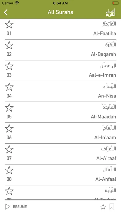 Quraan-E-Karim (15 Lines) 스크린샷