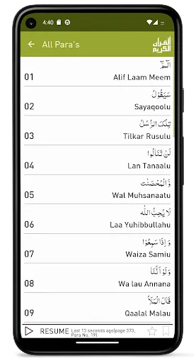 Quraan-E-Karim  (15 Lines)应用截图