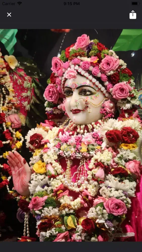 Capturas de pantalla de Shri Madhusudan Bapuji