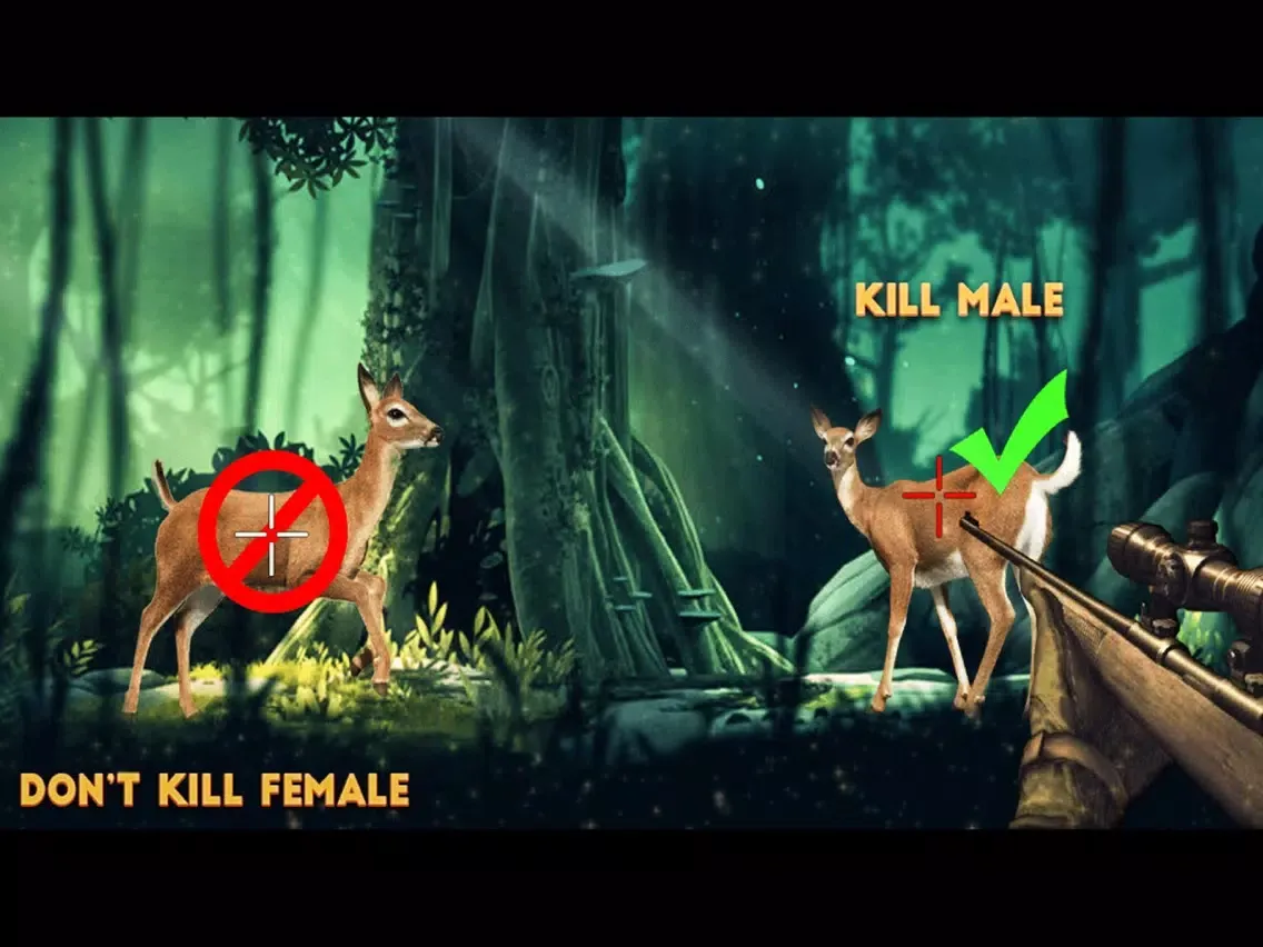 Jungle Sniper Hunting iPad  स्क्रीनशॉट