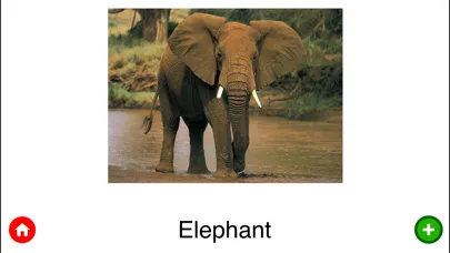 صور Animal Planet | Birds and Animals for Kids