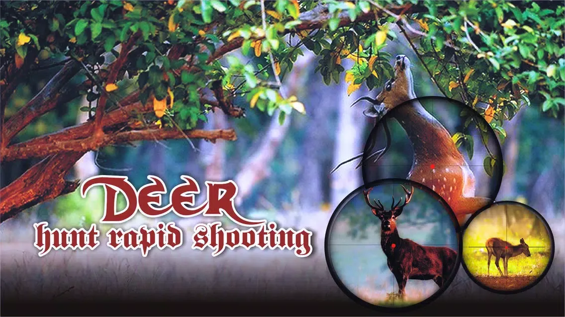 Deer Hunt Rapid Shooting应用截图