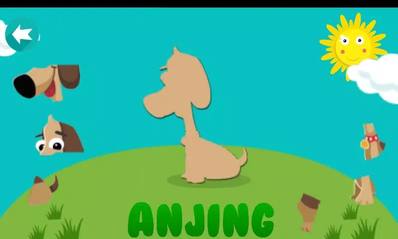 Game Puzzle Binatang应用截图