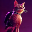 STRAY SURVIVE