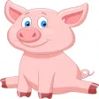 Pig Connect