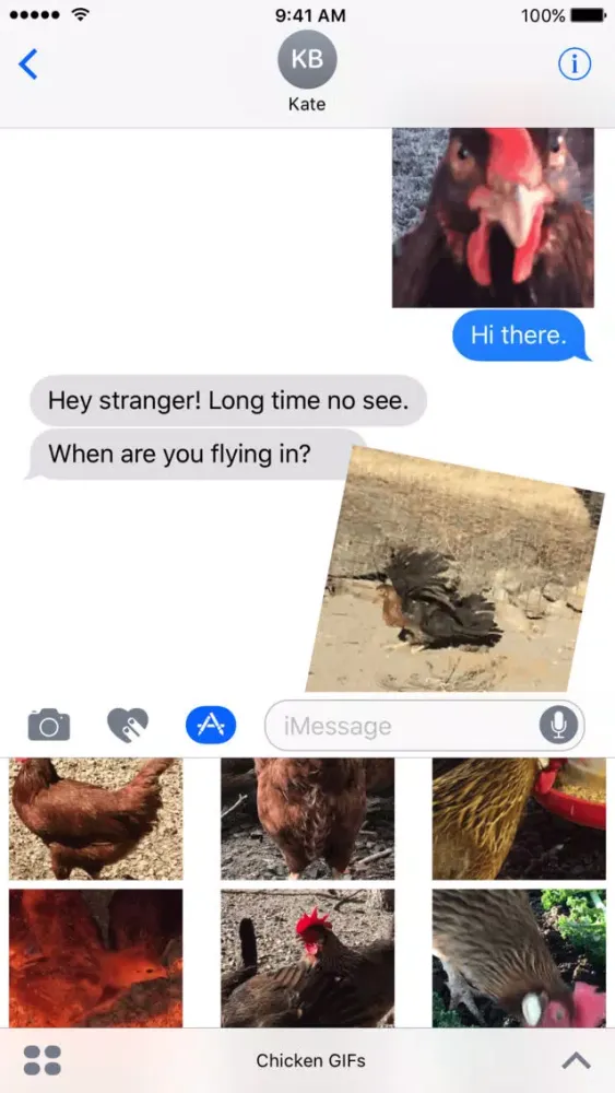صور Chicken GIFs